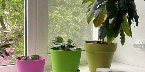 2-комн квартира Петергоф, Блан-Менильская улица, 9