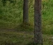 Продать Земельные участки, земля Ульяновка пгт, проезд 10-й Речной, 18   