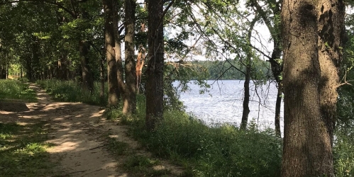 1-комн квартира Павлово пгт, Советская ул ,  д. 5