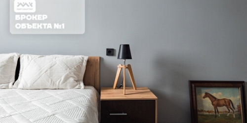 2-комн квартира Литейный проспект,  д. 11