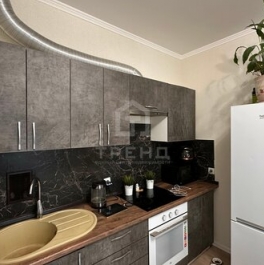 Продажа 1-комн квартиры на вторичном рынке Заневское городское поселение, Ясная улица,  д. 17 к1