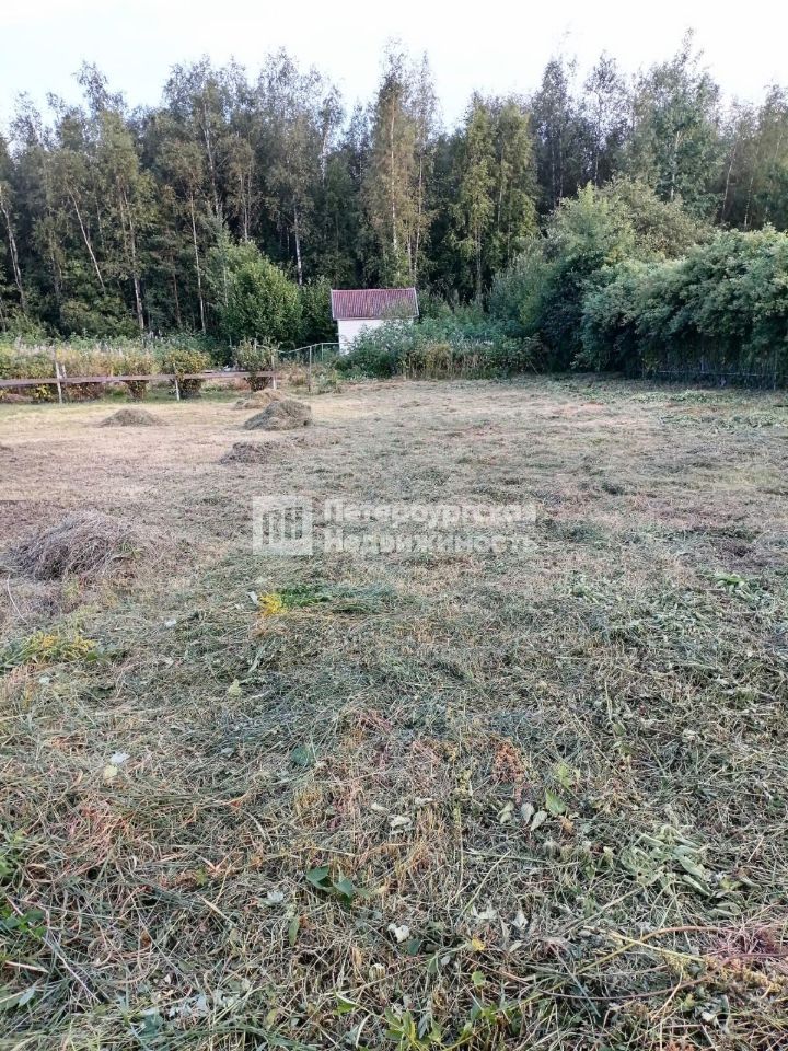 Продажа земли Новая Ладога, Нептун СНТ, улица Центральная, 308