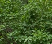 Продать Комнаты в квартирах Новороссийская улица, 30к1   