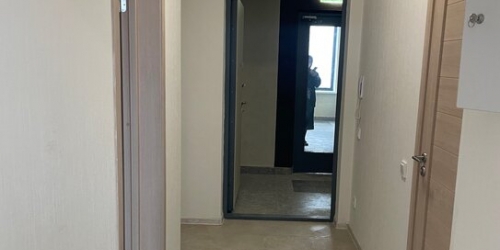 1-комн квартира Михалковский 3-й пер,  д. 17