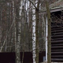 Продажа дома д. Большие Пороги, 33