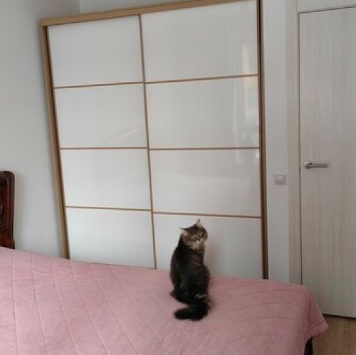 2-комн квартира Орлово-Денисовский проспект,  д. 19 к1