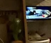 Продать Квартиры вторичка Рождественская улица, 4   