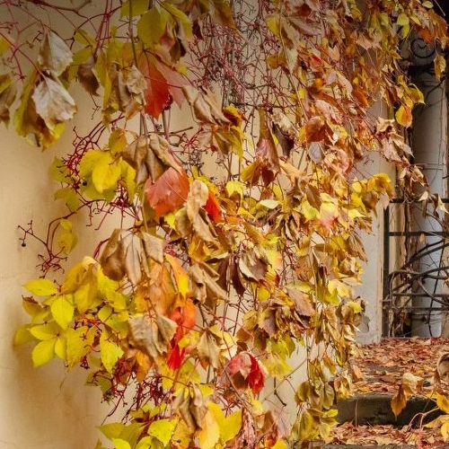 2-комн квартира 13-я Красноармейская улица, 6