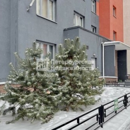Продажа 1-комн квартиры на вторичном рынке Маршала Казакова ул,  д. 78,  к. 1