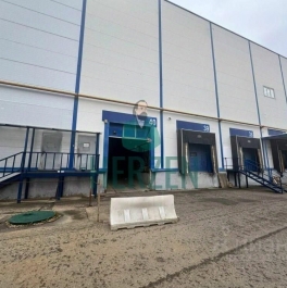 Аренда производственного помещения Горки Ленинские п,  д. 2