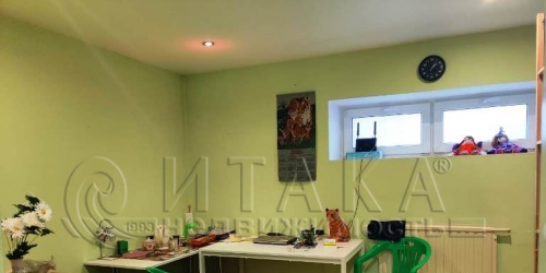 Торговое помещение Павловск, Медвежий,  д. 7