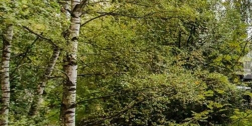 2-комн квартира Светлановский проспект, 38к1