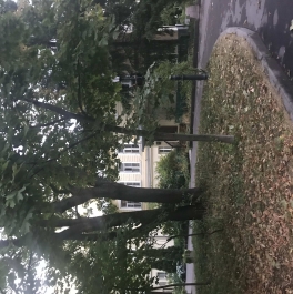 Продажа 3-комн квартиры на вторичном рынке Нововаганькоский переулок,  д. 5,  к. 2
