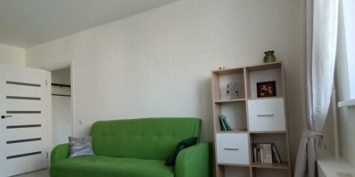 2-комн квартира улица Василия Петушкова,  д. 11