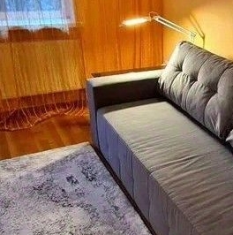 Аренда 1-комн квартиры на вторичном рынке Приморский проспект, 137к1