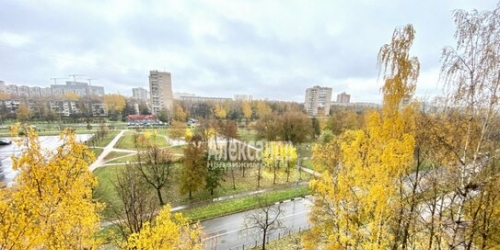 1-комн квартира ул Евдокима Огнева,  д. 20