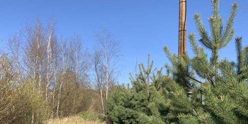 Земельный участок Сестрорецк г., Муромцева пр.,  д. 1