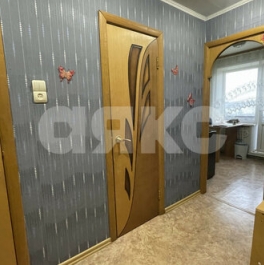 Продажа 1-комн квартиры на вторичном рынке Чемодурово, Центральная улица,  д. 13