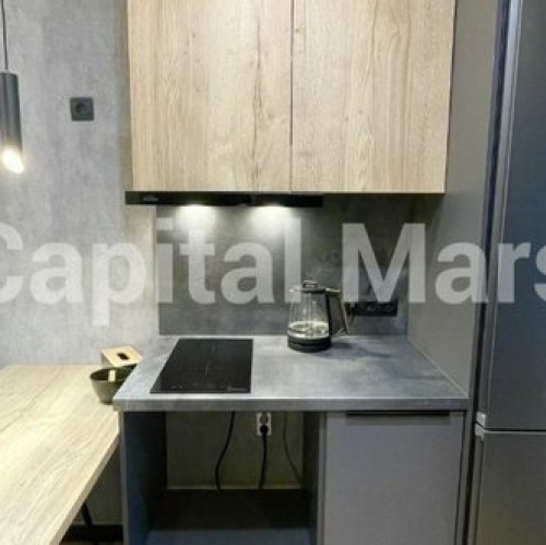 1-комн квартира улица Шишкина,  д. 291 к1