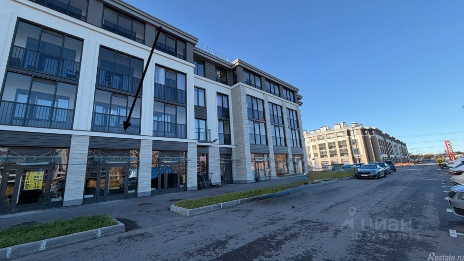 Аренда ПСН проспект Будённого,  д. 20 к1 с1