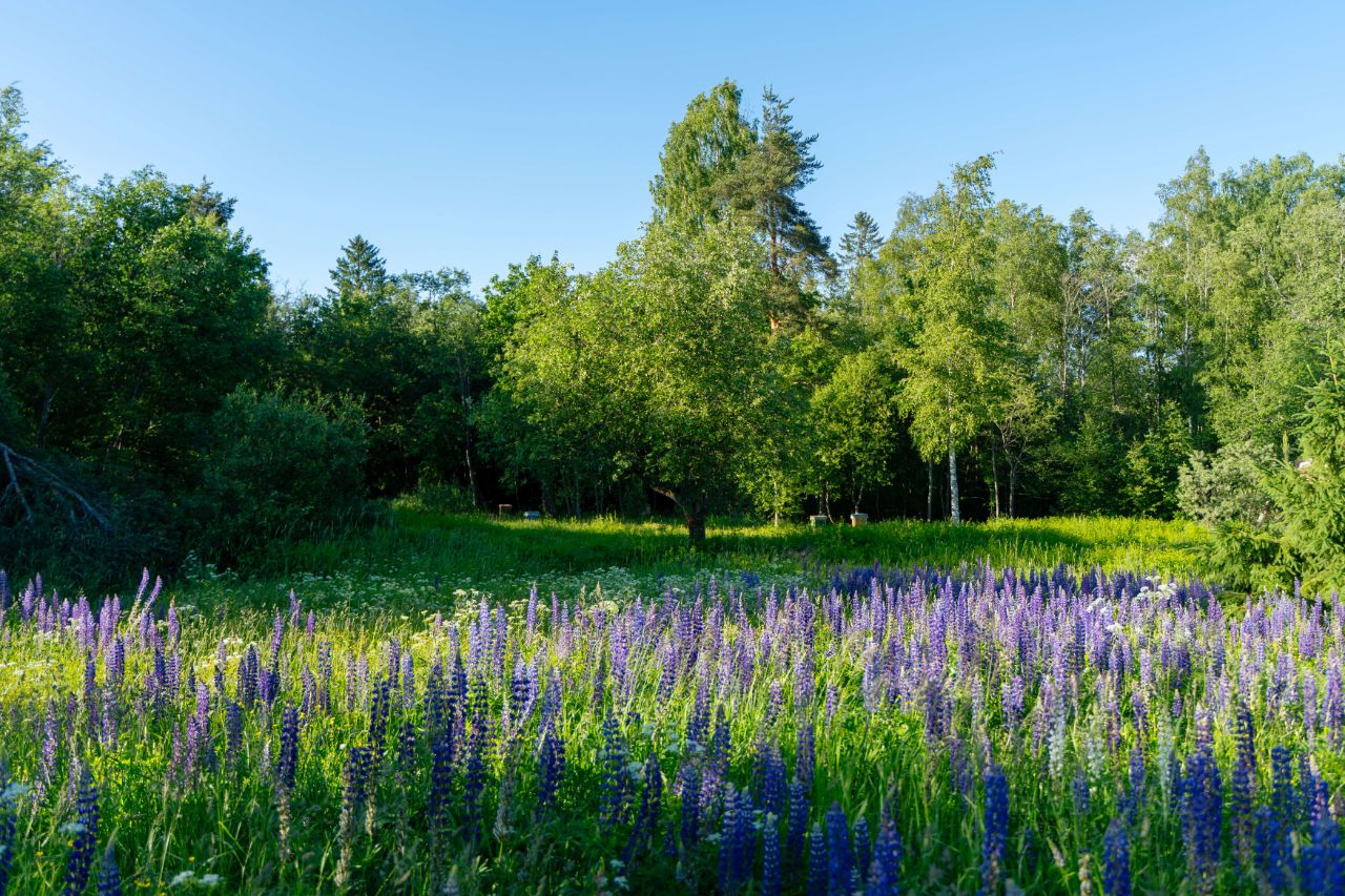 Продажа земли д. Матокса, улица Западная