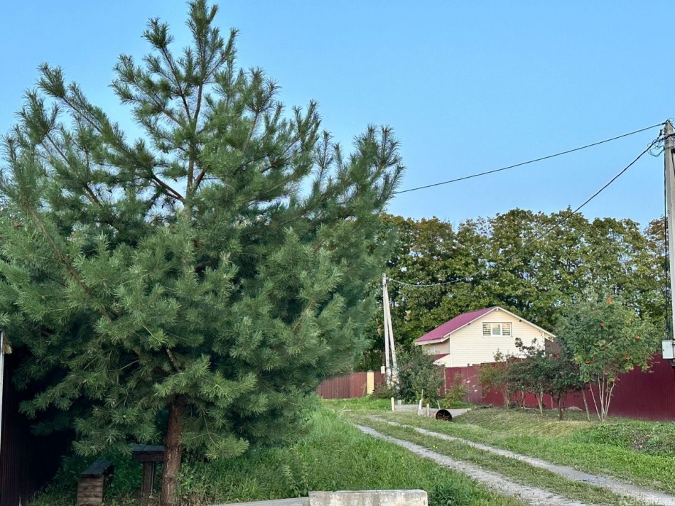 Продажа земли Новосёлки, 46К-5102