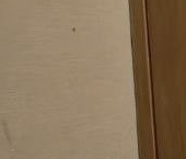 Сдать в аренду Квартиры вторичка Северный проспект, 91К2   