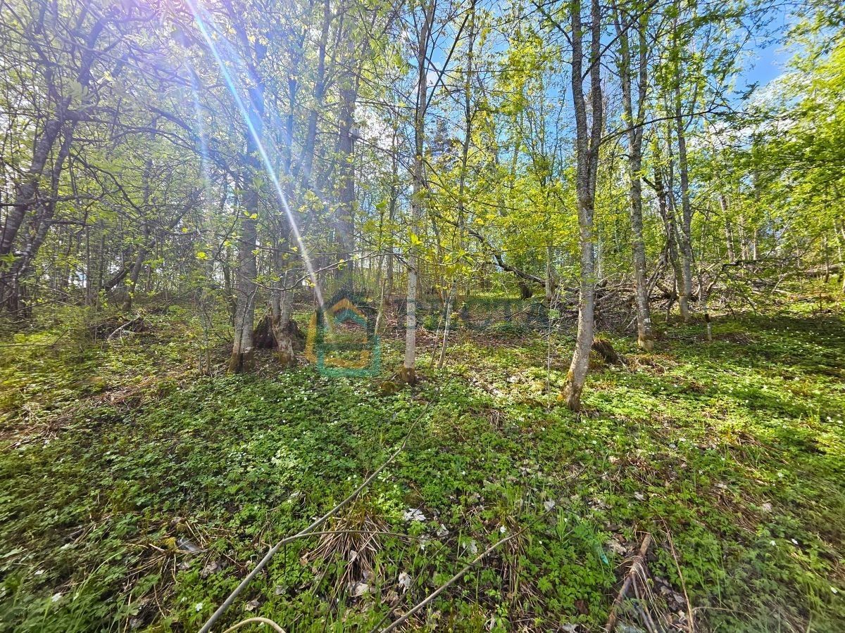 Продажа земли Севкабель СНТ, переулок Наличный, 1