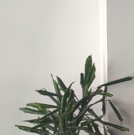 Продажа 3-комн квартиры на вторичном рынке улица Маршала Тухачевского, 41к1 Продажа 3-комн квартиры на вторичном рынке улица Маршала Тухачевского, 41к1