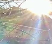 Продать Дачи, коттеджи, загородные дома Пушкин, улица Русская, 5   