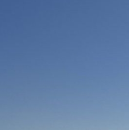 Продажа земли пос. Лисий Нос, Кольцевая улица, 16