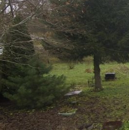 Продажа дома д. Глумицы, 79