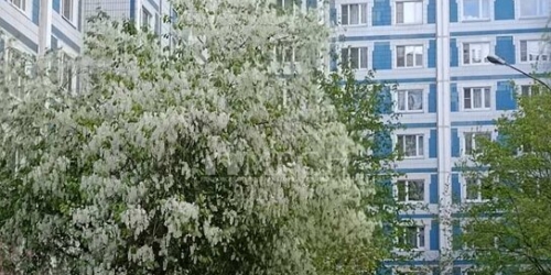 3-комн квартира Ленская улица,  д. 23