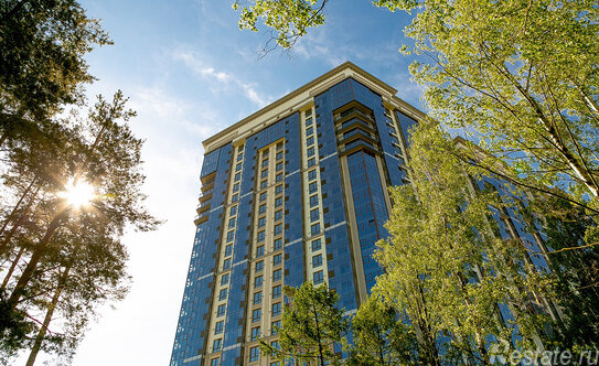 Продажа 1-комн квартиры на вторичном рынке Тореза пр-кт,  д. 118 с1