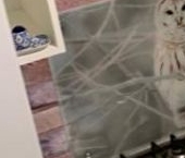 Сдать в аренду Квартиры вторичка улица Генерала Тюленева, 7К2   