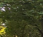 Продать Квартиры вторичка улица Фомичевой, 16К5   