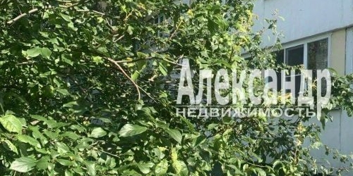 3-комн квартира улица Стойкости, 18К2