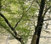 Продать Квартиры вторичка Большой Козихинский переулок, 27С2   