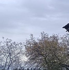 Продажа дома д. Луговское, улица Дорожная Продажа дома д. Луговское, улица Дорожная