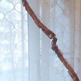 Аренда 2-комн квартиры на вторичном рынке улица Академика Скрябина, 28К2 Аренда 2-комн квартиры на вторичном рынке улица Академика Скрябина, 28К2