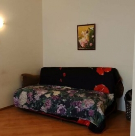 Продажа 1-комн квартиры на вторичном рынке Щелково г, Шмидта ул,  д. 6