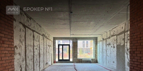 Помещение свободного назначения Заневский пр-кт,  д. 65