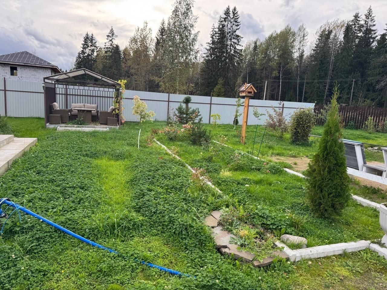 Продажа земли Форносово городской поселок, улица Лесная