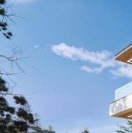 Продажа дома пос. Лисий Нос, Приморское шоссе, 26А