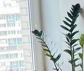 Продать Квартиры вторичка улица Твардовского, 12к2   