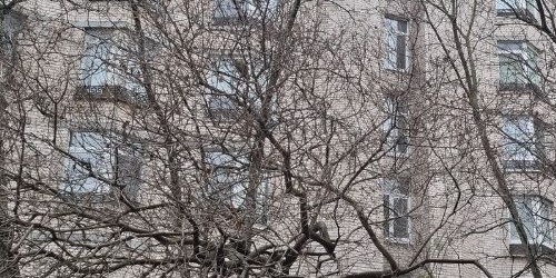 1-комн квартира Лиговский проспект, 105