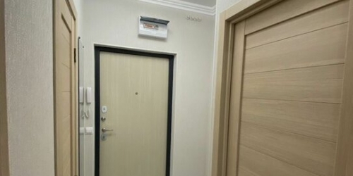 1-комн квартира Сампсониевский Б. пр-кт,  д. 72,  к. 3