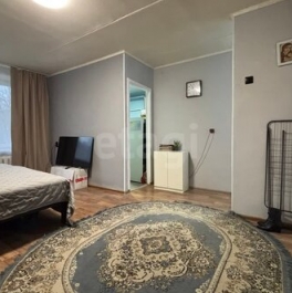 Продажа 1-комн квартиры на вторичном рынке Клишева, Центральная улица,  д. 1