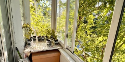 1-комн квартира улица Генерала Рычагова,  д. 23/11