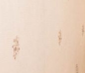 Сдать в аренду Квартиры вторичка Приморский проспект, 137к1   